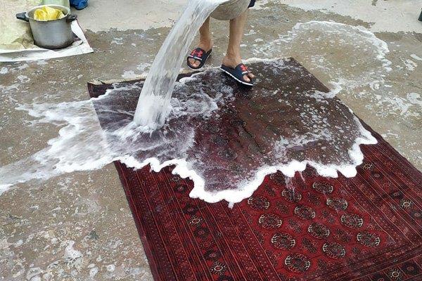 N.A.P.S. Rug
